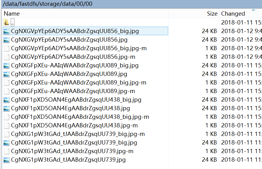 高可用高性能分布式文件系统FastDFS进阶keepalived+nginx对多tracker进行高