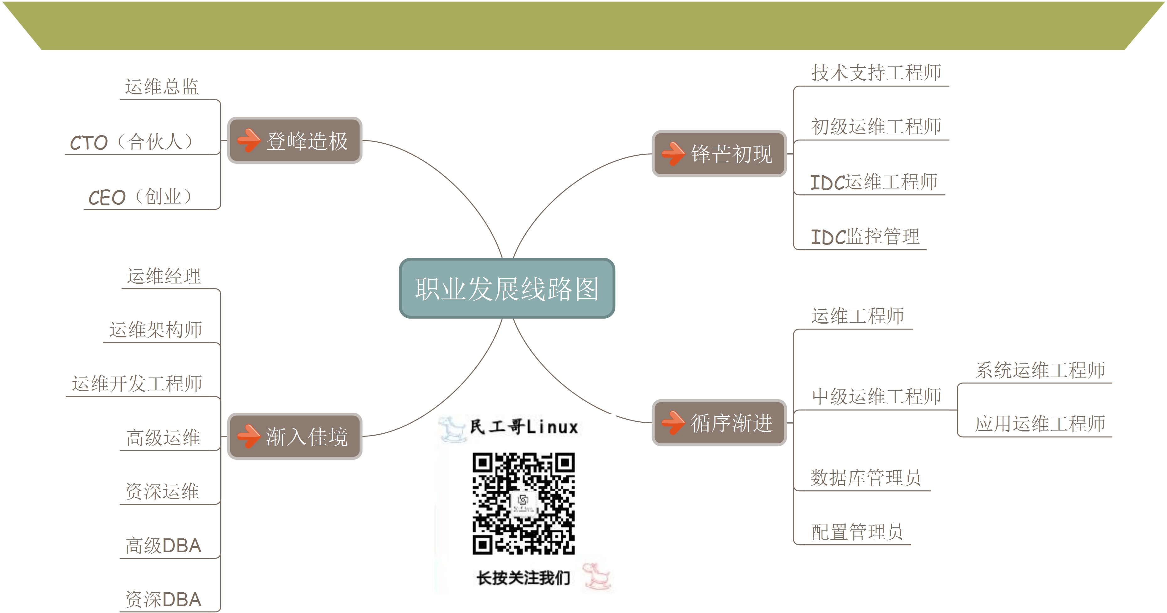 大学生职业生涯路线图图片