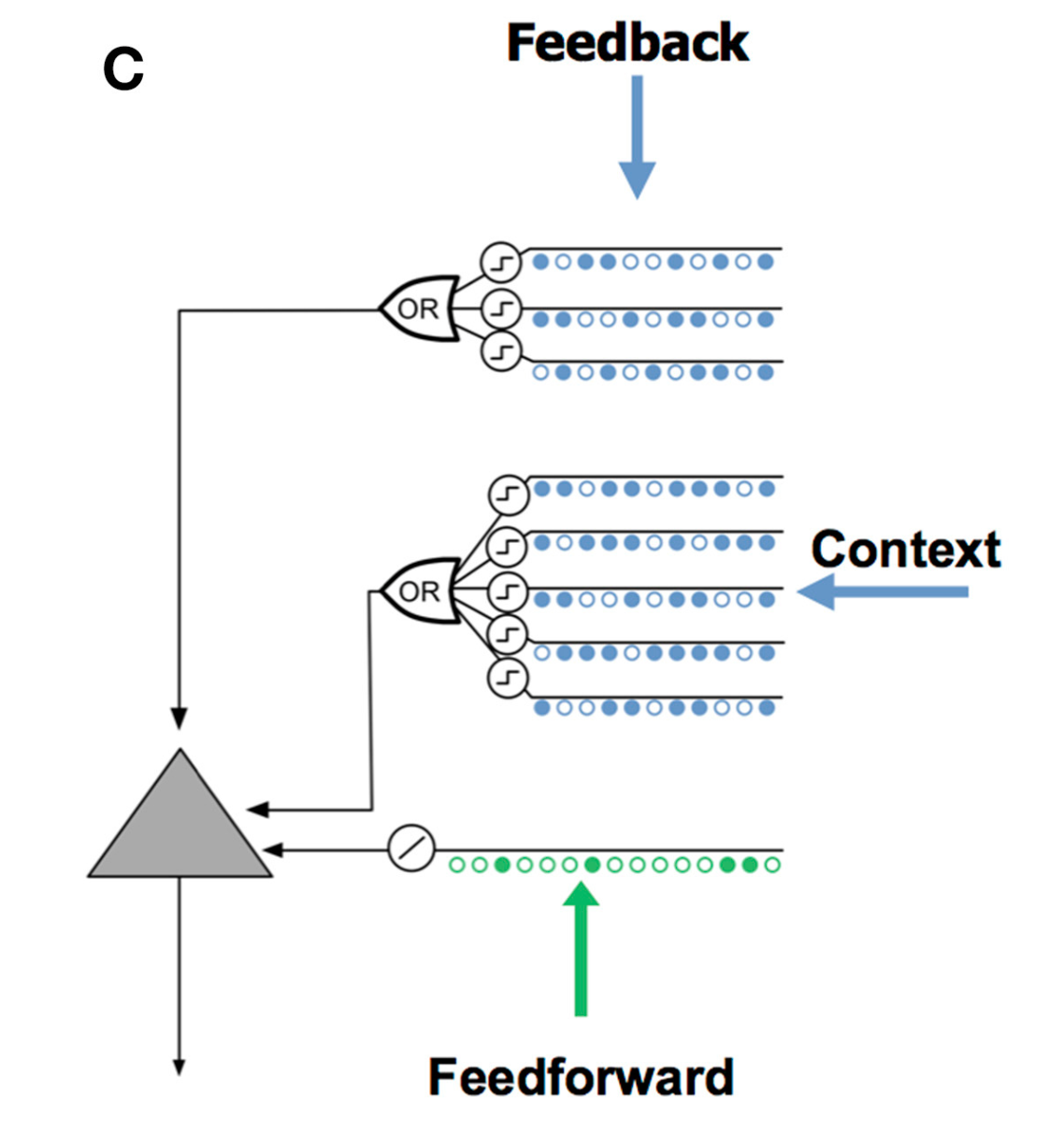 Hierarchical temporal Memory model.