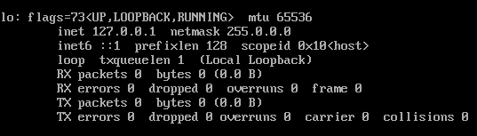 如何解决Linux 系统下 ifconfig 命令无网络接口 ens33第1张