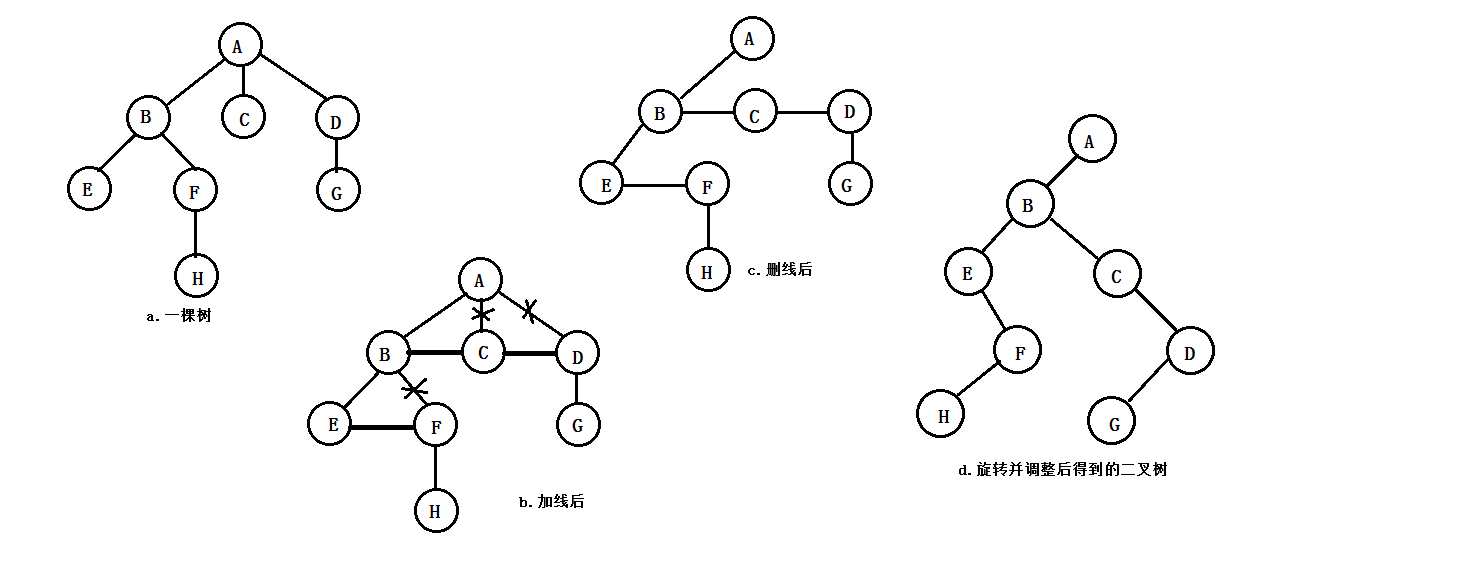 树转换成二叉树的过程示意图