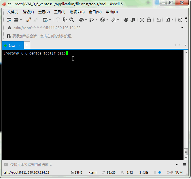 【Linux】【二】linux 压缩文件（txt）、查看压缩文件内容、解压缩文件、第2张