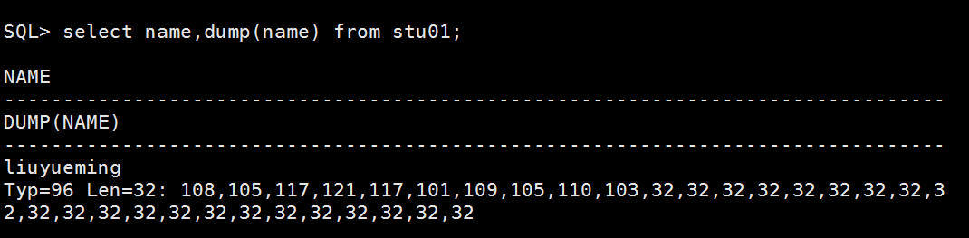 Oracle Char To Number