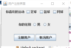 Java 图形化界面设计（GUI）实战练习（代码） 