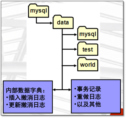 MySQL的存储引擎与日志说明