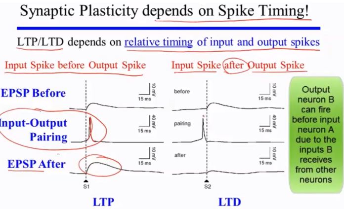 Spiking_Timing