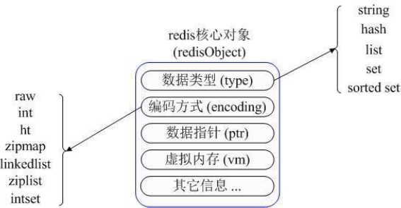 redis 常用数据类型