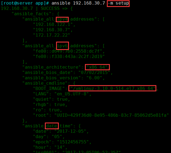 项目实战10.1—企业级自动化运维工具应用实战-ansible_Ansible_22