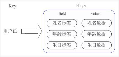 Redis性能优化 