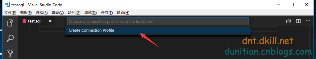 VSCode插件MSSQL教程（昨天提了一下）第4张