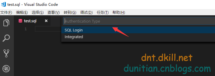 VSCode插件MSSQL教程（昨天提了一下）第7张