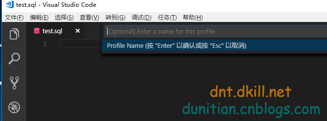 VSCode插件MSSQL教程（昨天提了一下）第11张