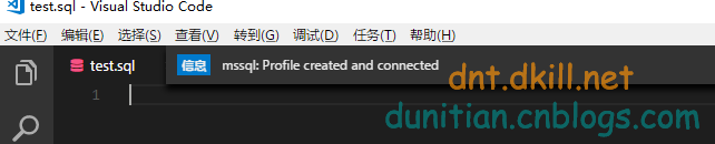 VSCode插件MSSQL教程（昨天提了一下）第12张