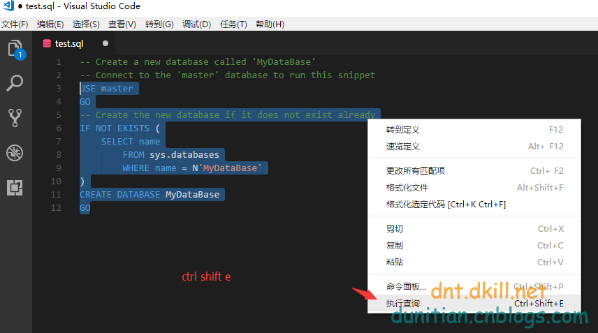 VSCode插件MSSQL教程（昨天提了一下）第14张