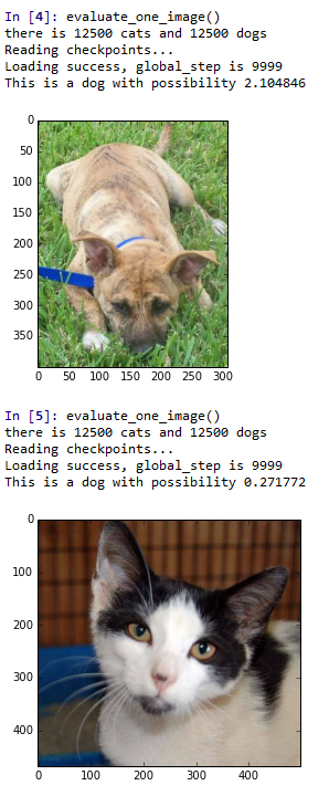 Kaggle系列1：手把手教你用tensorflow建立卷积神经网络实现猫狗图像分类第3张